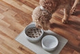Load image into Gallery viewer, Indoor Dog Dining Miacara
