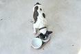 Load image into Gallery viewer, Ceramic Dog Bowl - Premium Tavoletta Single Bowl Replacement
