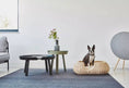 Load image into Gallery viewer, Canine Beds: Mio Dog Basket - A Stylish Sleep Haven
