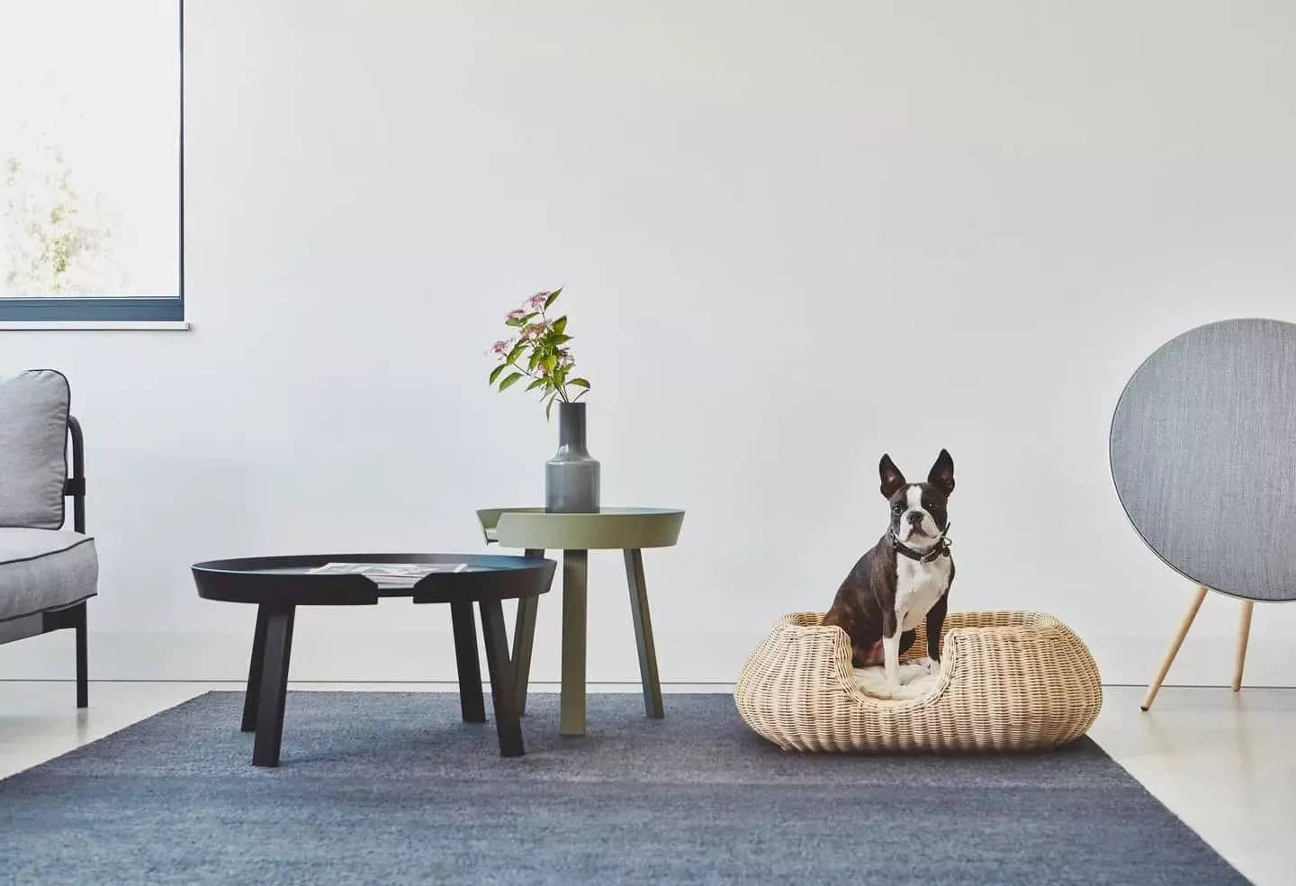 Canine Beds: Mio Dog Basket - A Stylish Sleep Haven
