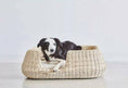 Load image into Gallery viewer, Canine Beds - A Stylish Sleep Haven
