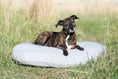 Load image into Gallery viewer, PRADO - Design dog bed Chic - Dog Lovers
