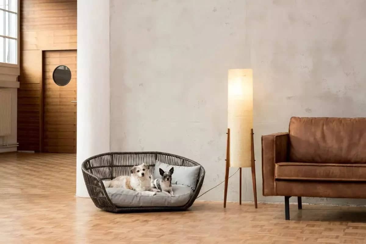 PRADO - Design dog bed Chic - Dog Lovers