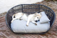 Cargar imagen en el visor de la Galería, PRADO - Design dog bed Chic - Dog Lovers
