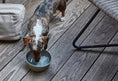 Load image into Gallery viewer, dog travel bowl piega
