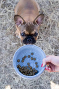 Load image into Gallery viewer, ROCKY Pet Bowl Stone - Dog Lovers
