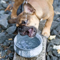 Load image into Gallery viewer, ROCKY Pet Bowl Stone - Dog Lovers
