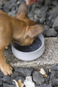 Load image into Gallery viewer, ROCKY Pet Bowl Stone - Dog Lovers
