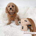 Cargar imagen en el visor de la Galería, Fashionable Dog Owner Carrying Teddy Paddington Strap
