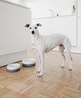 Load image into Gallery viewer, Indoor Dog Dining Miacara

