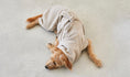Load image into Gallery viewer, Bagno Dog Bath Robe: Ultimate Comfort and Cleanliness
