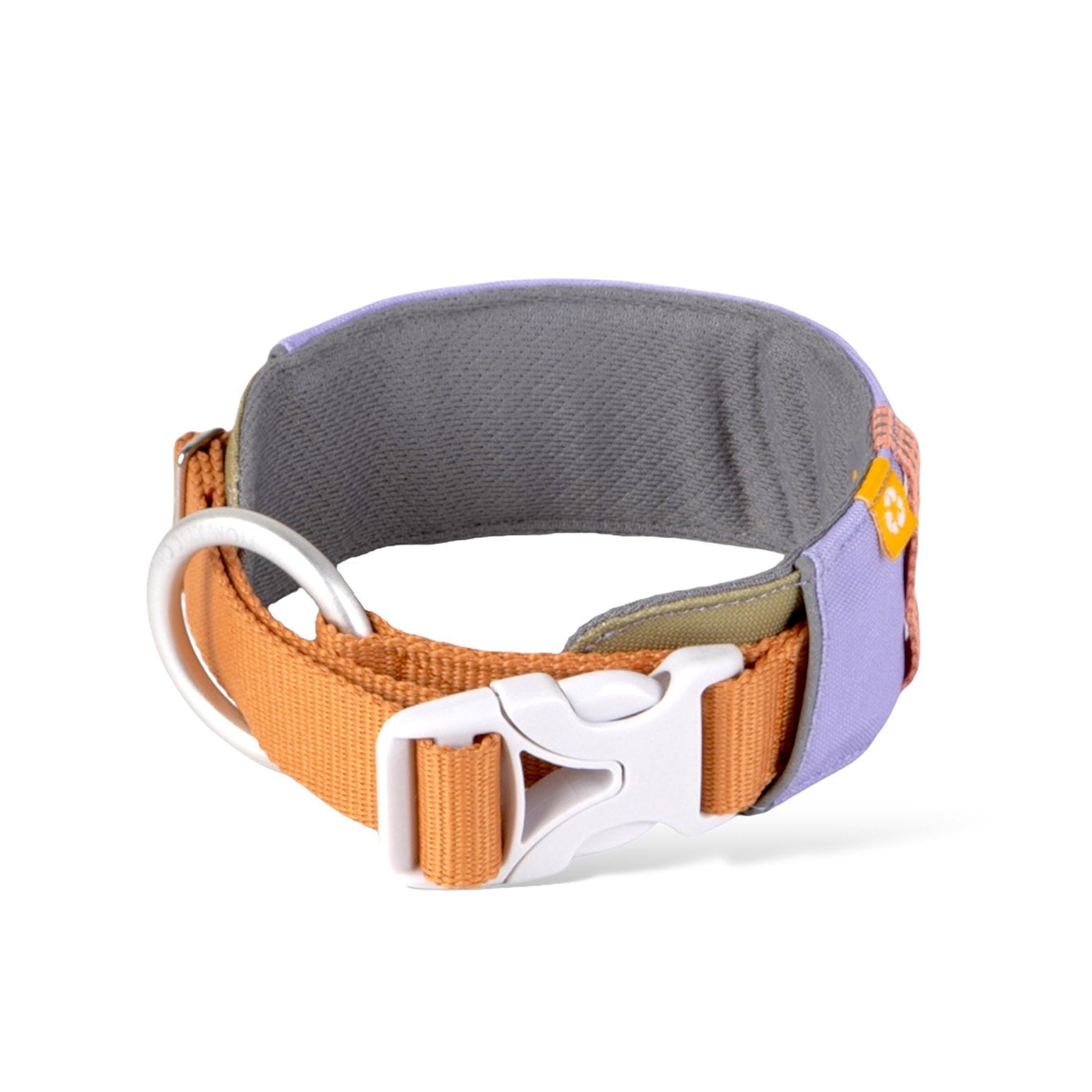 Dog collars Recycled