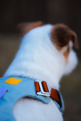 Load image into Gallery viewer, Alpha 360 Dog Harness Safety
