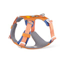 Alpha 360 Dog Harness Golden Hour