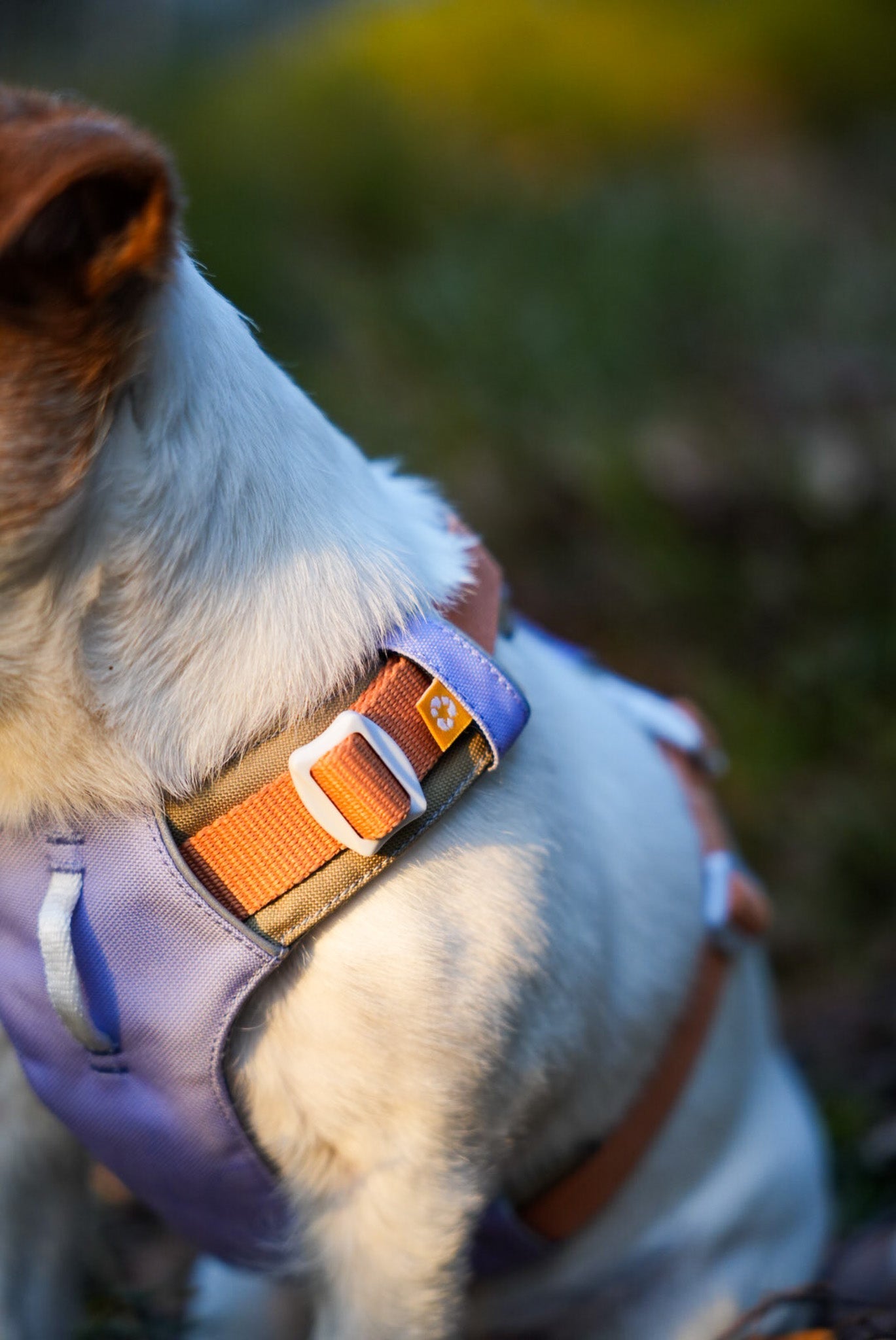 Alpha 360 Dog Harness lavender Size XS