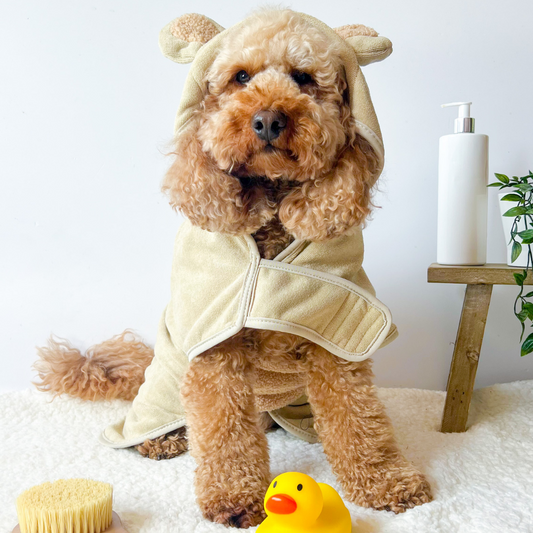 dog bath robe Cocopup