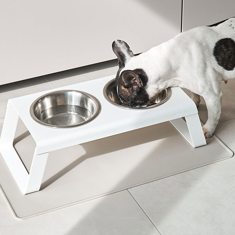 dog water bowl mat