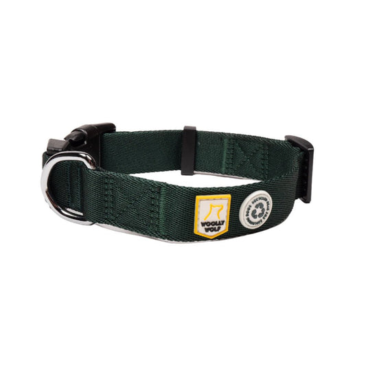 Evergreen canine collar on a happy dog