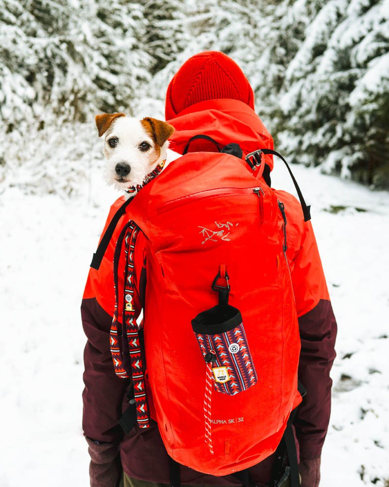 Eco-friendly dog treat pouch made of recycled polyester