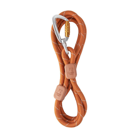 Eco-friendly dog walking leash in terracotta color