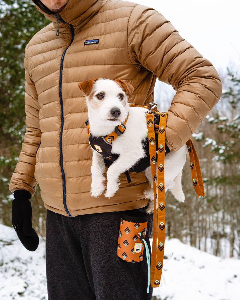 Sea to Summit Dog Lead