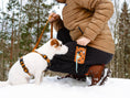 Cargar imagen en el visor de la Galería, Securely attached dog treat bag with lightweight clip
