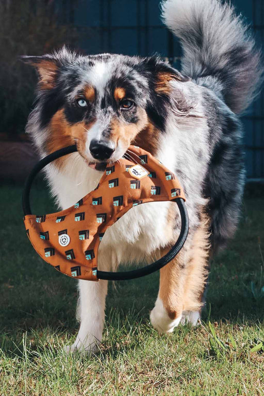 Recycled Polyester Dog Toy Frisbee in Action