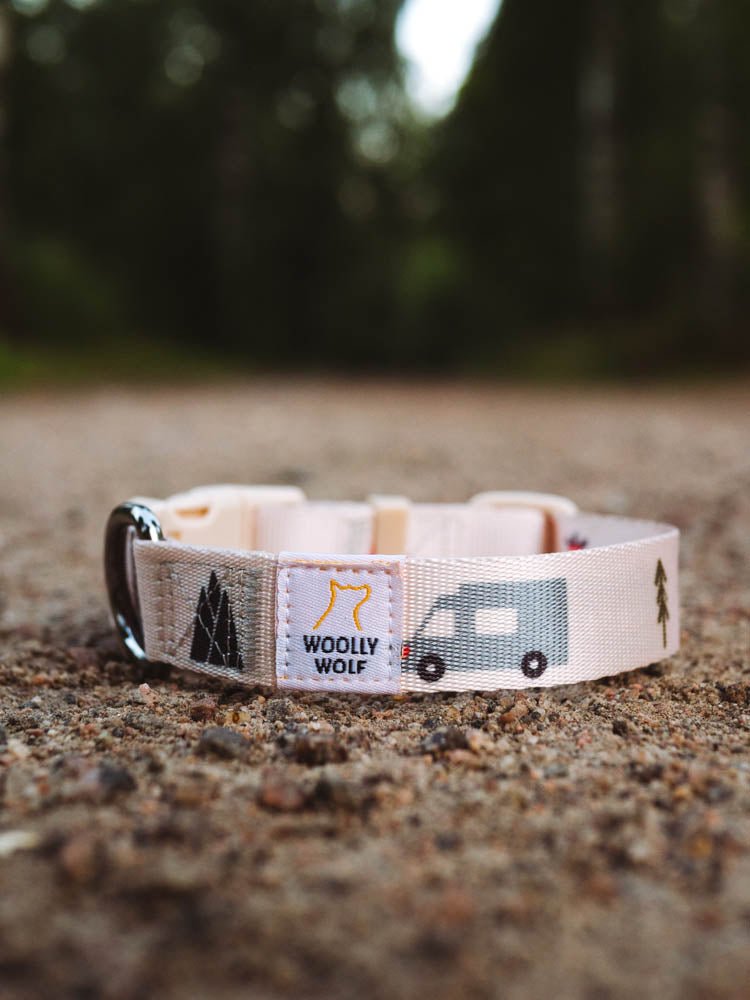 Adventure-ready premium dog collar in vibrant sublimation print