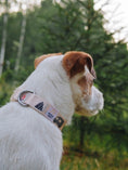 Load image into Gallery viewer, The essence of van life captured in a premium dog collar

